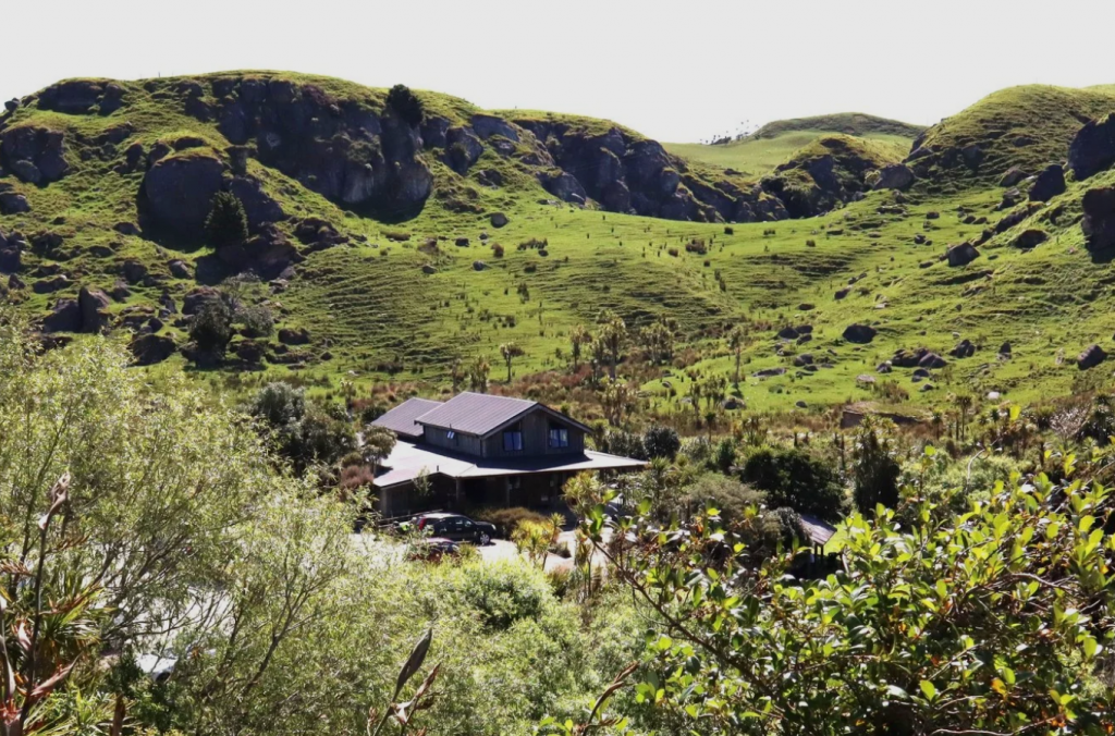 Screenshot 2026-05-23 at 20-39-34 Cafe — Nikau Cave & Cafe